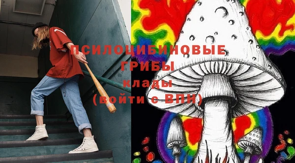 гидра Алексин