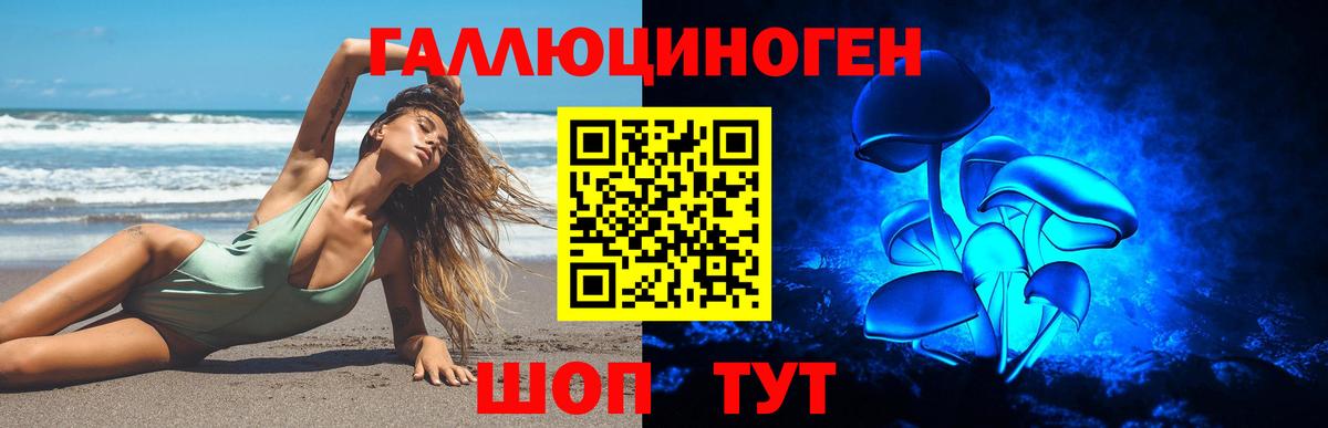 Псилоцибиновые грибы Psilocybe  Псилоцибиновые грибы мухоморы  Тула  Вход с VPN 